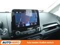 Ford EcoSport 1.0 EcoBoost Titanium X*NAVI*XENON*PDC*SHZ*KLIMA* Gris - thumbnail 21