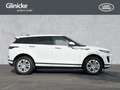 Land Rover Range Rover Evoque 2.0 D150 S Panoramadach Weiß - thumbnail 6