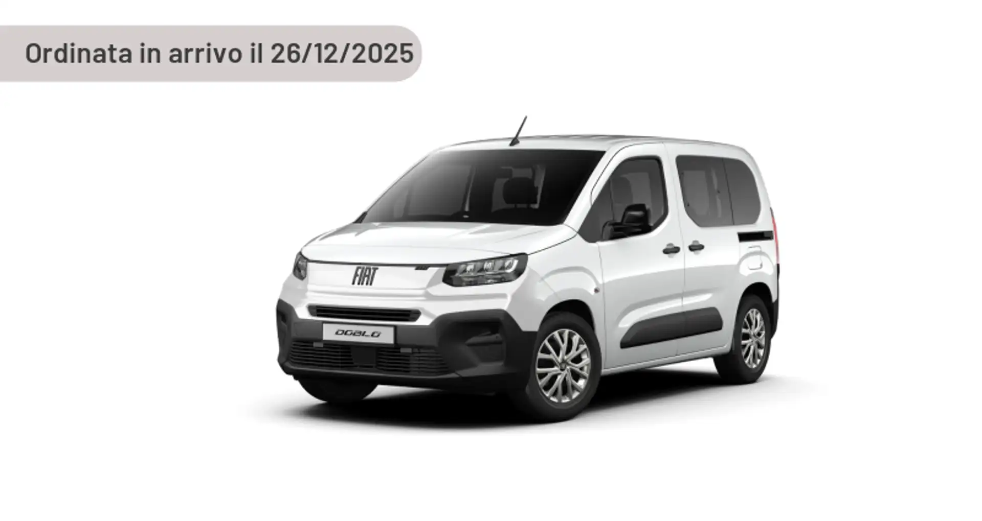 Fiat Doblo 1.2 110 CV PL Argento - 2
