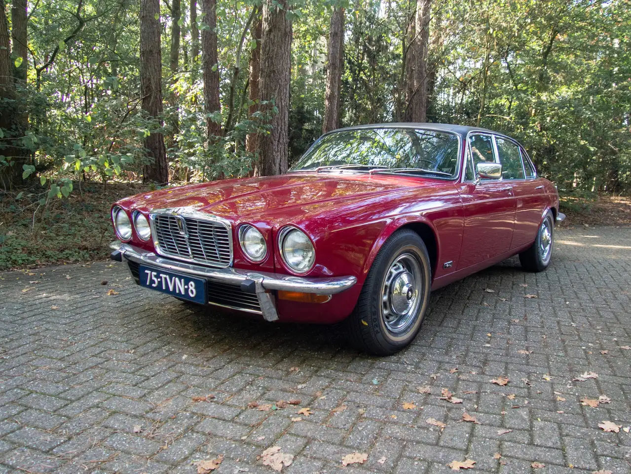 Jaguar XJ12