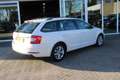 Skoda Octavia Combi 1.0 TSI Greentech Ambition Business Weiß - thumbnail 3