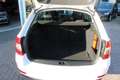 Skoda Octavia Combi 1.0 TSI Greentech Ambition Business Weiß - thumbnail 27
