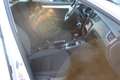 Skoda Octavia Combi 1.0 TSI Greentech Ambition Business Weiß - thumbnail 23
