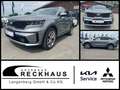 Kia Sorento 2.2D AWD DCT8 PLATINUM 7S NAPPA GD Klima Navi Grau - thumbnail 1
