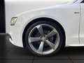 Audi A5 Sportback 2.0 TDI clean diesel Zahmriemen NEU S li Weiß - thumbnail 20