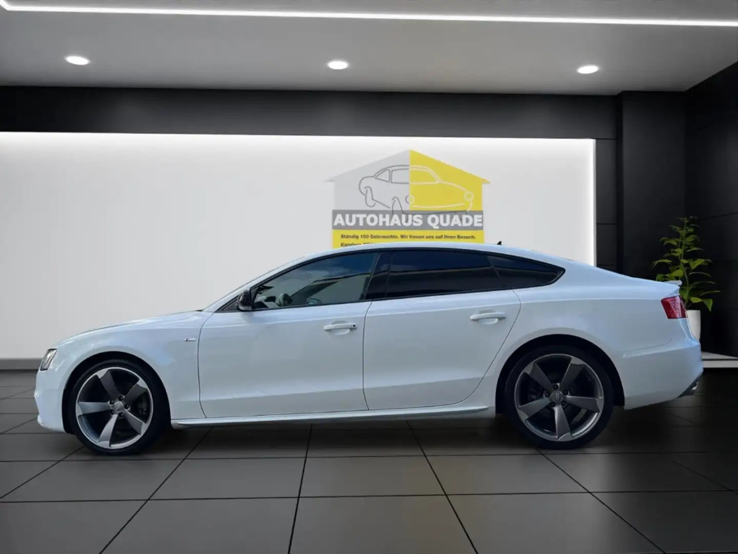 Audi A5 Sportback 2.0 TDI clean diesel Zahmriemen NEU S li Weiß - 2
