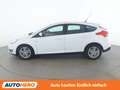 Ford Focus 1.0 EcoBoost Trend Weiß - thumbnail 3