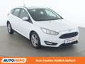 Ford Focus 1.0 EcoBoost Trend Weiß - thumbnail 8