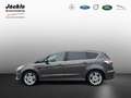 Ford S-Max Titanium, Tempomat, AHK schwenkbar, RückfahrCAM Gris - thumbnail 6