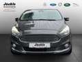 Ford S-Max Titanium, Tempomat, AHK schwenkbar, RückfahrCAM Gris - thumbnail 2