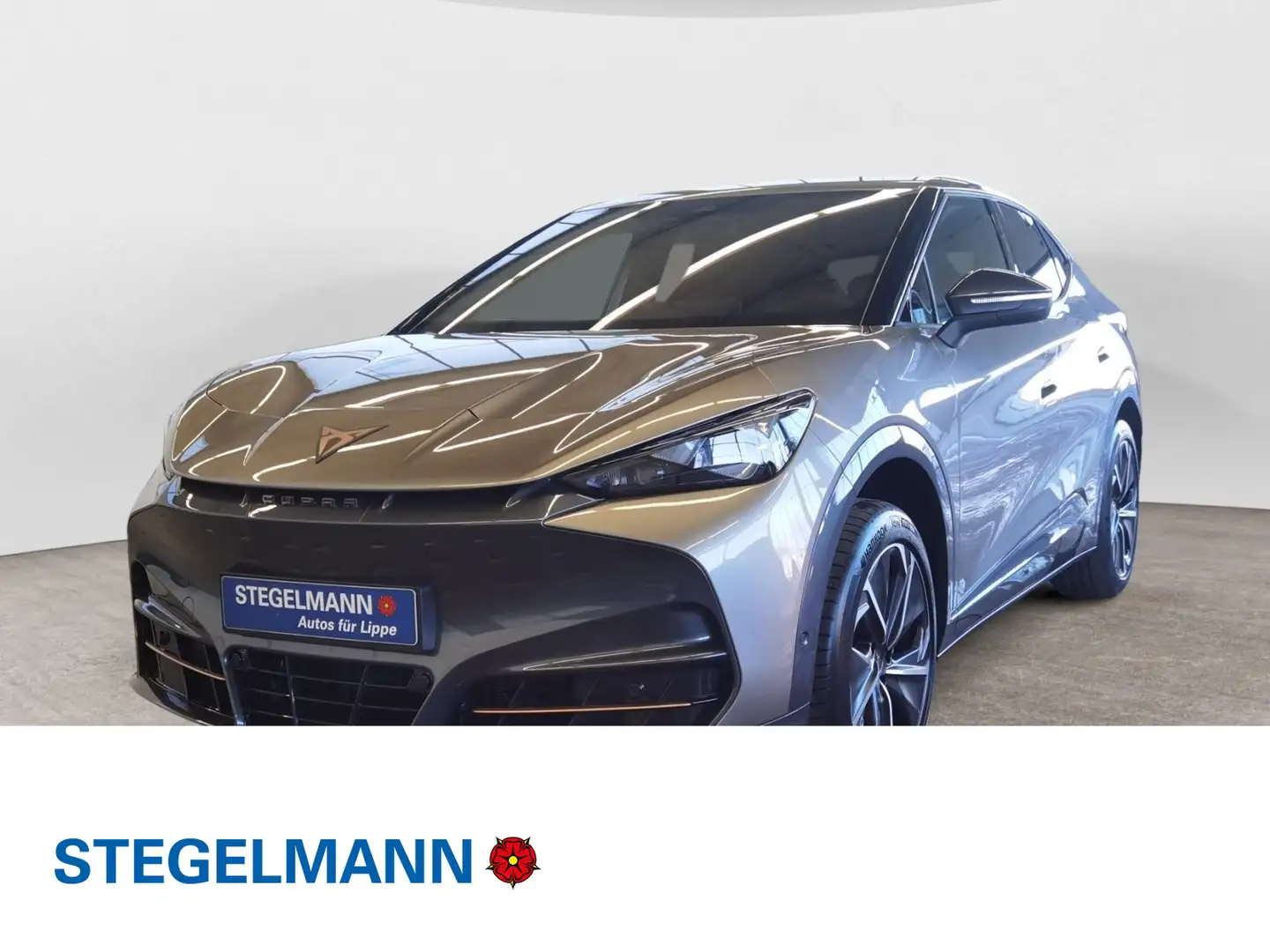 CUPRA Tavascan VZ 4Drive Wärmepumpe 77kWh Brun - 1