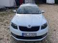 Skoda Octavia Joy Weiß - thumbnail 3