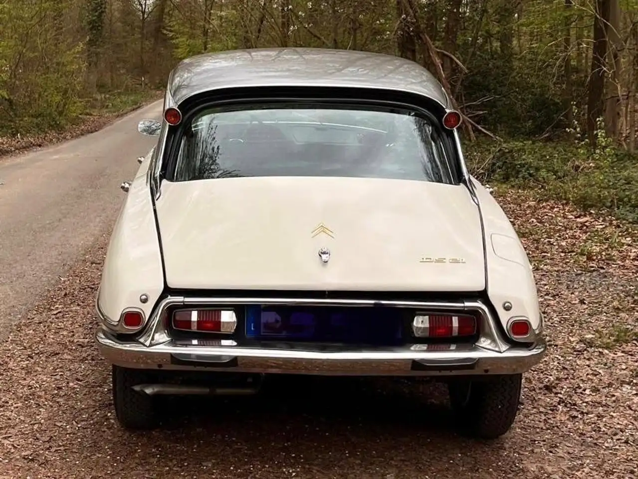 Citroen DS Pallas, foto 2