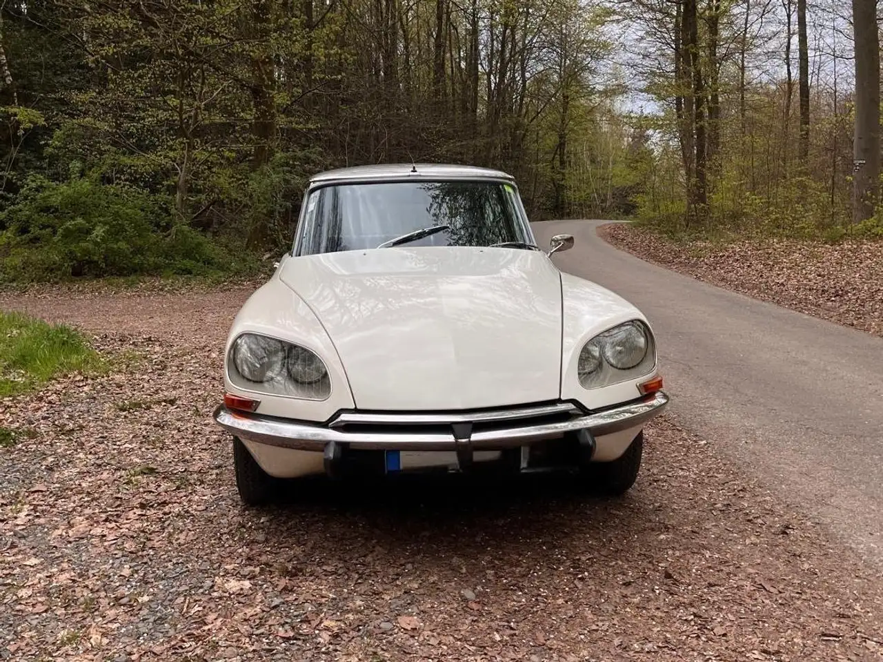 Citroen DS Pallas, foto 3