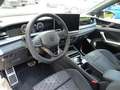 Volkswagen Tayron 2.0 TDI 4MOTION DSG R-Line *Sthz*AHK*LED* Grün - thumbnail 12