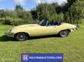 Jaguar E-Type Series 2 Cabriolet | 1969 | Route 66 Auctions Zwart - thumbnail 1