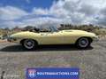 Jaguar E-Type Series 2 Cabriolet | 1969 | Route 66 Auctions Zwart - thumbnail 7