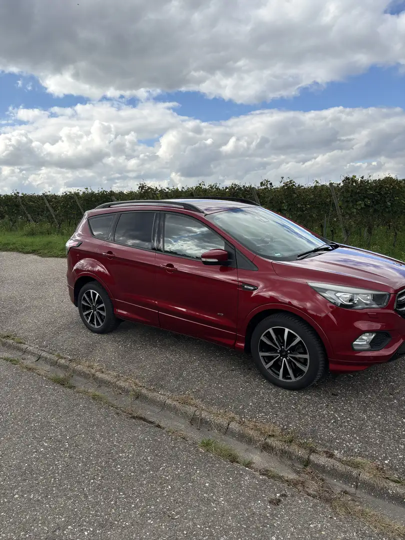 Ford Kuga ST Line Rot - 2