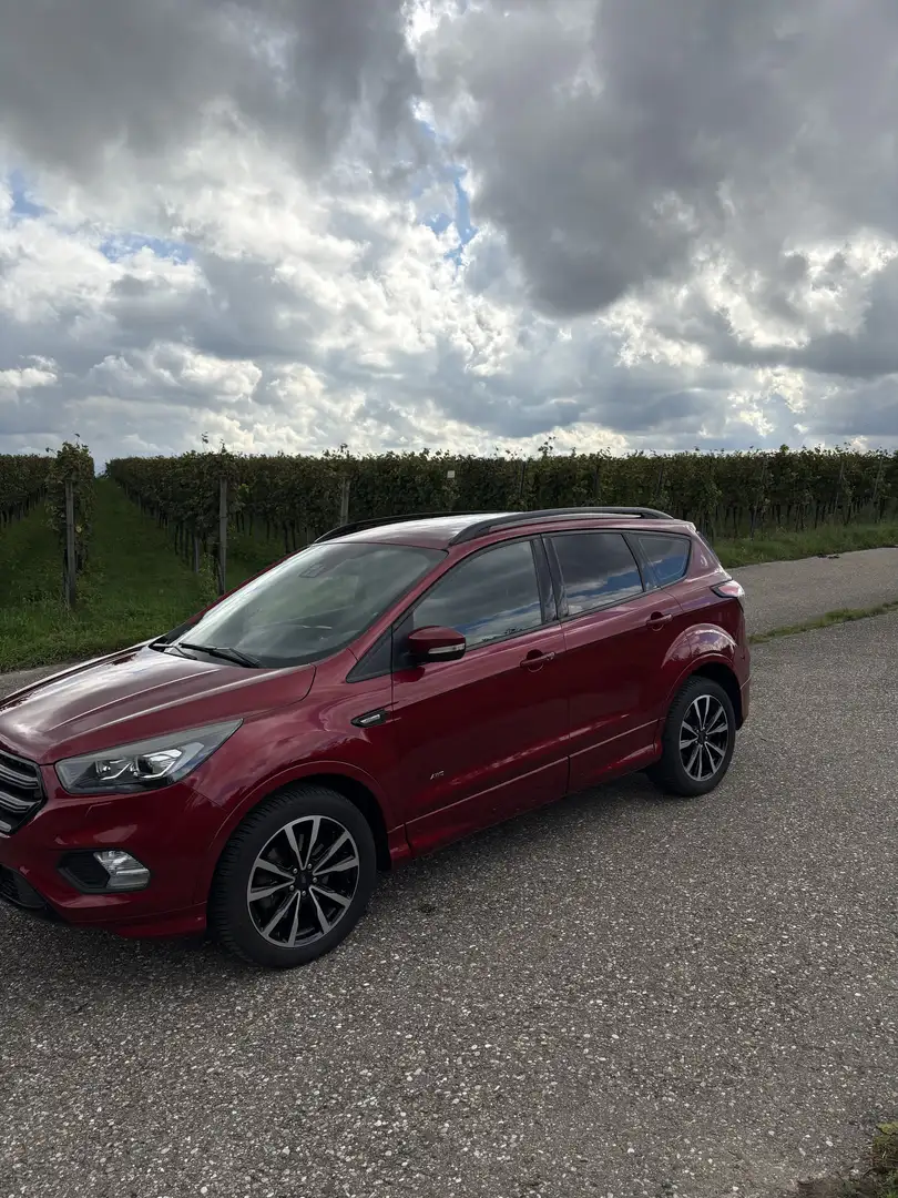 Ford Kuga ST Line Rot - 1