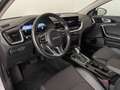 Kia XCeed 1.6 gdi phev Style 141cv dct Bianco - thumbnail 11