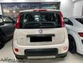 Fiat Panda Panda III 2016 4x4 1.3 mjt 16v 4x4 s Beige - thumbnail 4