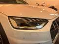 Audi A4 allroad 40 2.0 tdi mhev Identity Contrast quattro 204cv Bianco - thumbnail 8