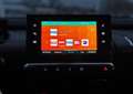 Citroen C4 Cactus 1.6 bluehdi 100ch feel business apple carplay Gris - thumbnail 11