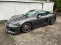 Porsche Cayman Cayman GT4 Grau - thumbnail 1