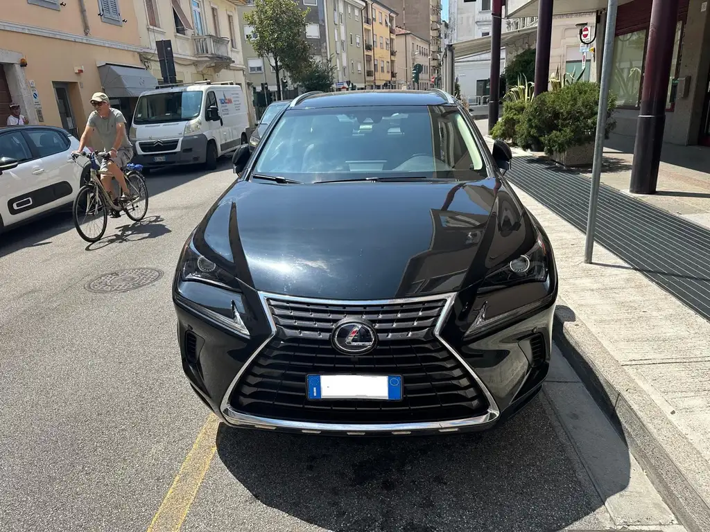Lexus NX 300h 2018 из Европы — купить под ключ