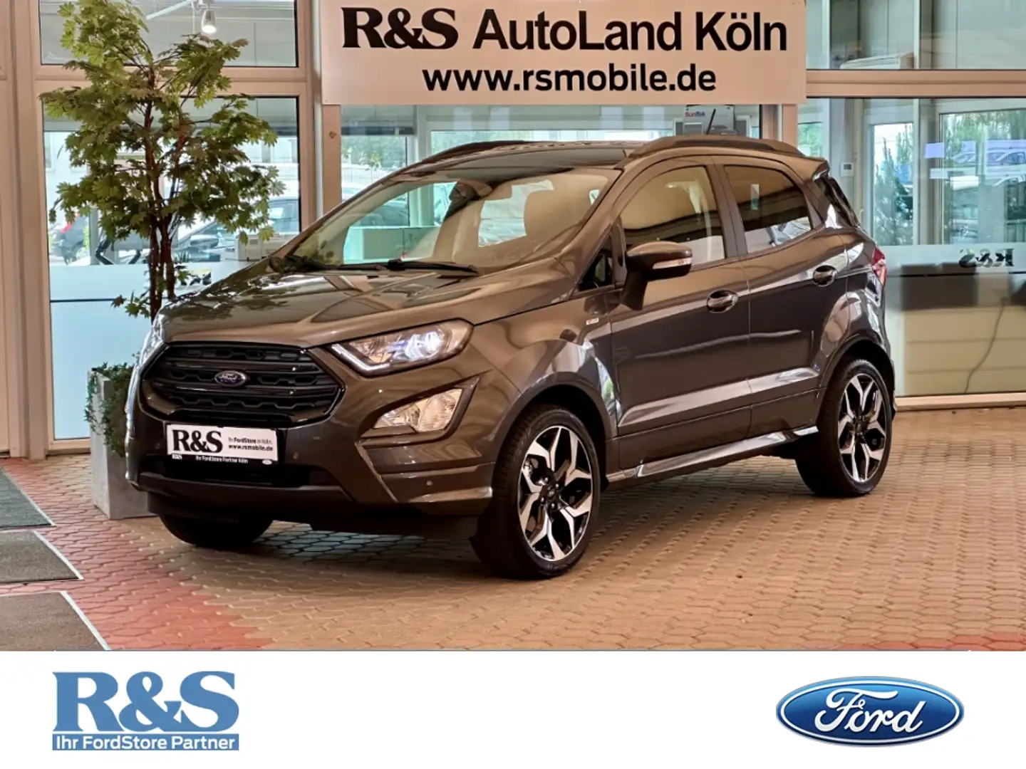 Ford EcoSport ST-Line+Rückfahrkamera+Navi+B&O Grau - 1