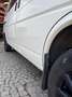 Volkswagen T4 ACV 2.5 TDI Weiß - thumbnail 5