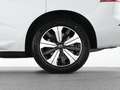 Volvo XC60 T8 Recharge AWD Plus Dark 19"+ACC+STANDHZG Weiß - thumbnail 18