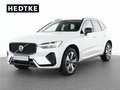 Volvo XC60 T8 Recharge AWD Plus Dark 19"+ACC+STANDHZG Weiß - thumbnail 1