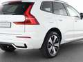 Volvo XC60 T8 Recharge AWD Plus Dark 19"+ACC+STANDHZG Weiß - thumbnail 10