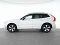 Volvo XC60 T8 Recharge AWD Plus Dark 19"+ACC+STANDHZG Weiß - thumbnail 11