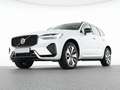 Volvo XC60 T8 Recharge AWD Plus Dark 19"+ACC+STANDHZG Weiß - thumbnail 7