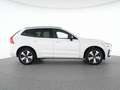 Volvo XC60 T8 Recharge AWD Plus Dark 19"+ACC+STANDHZG Weiß - thumbnail 12