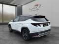 Hyundai TUCSON Tucson 1,6 T-GDI PHEV 4WD 20th Anniversary Aut. Weiß - thumbnail 5