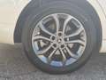 Mercedes-Benz C 220 D SW Sport 4matic auto 9m TUTTI TAGLIANDI UFFICIAL Blanc - thumbnail 6