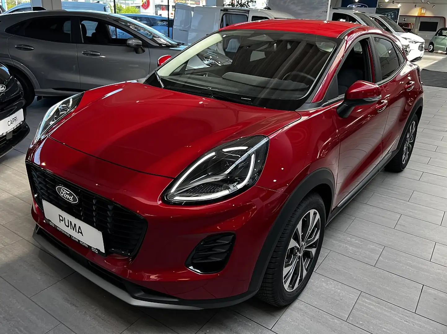 FORD Puma