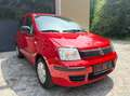 Fiat Panda 1,1 ECO City *Pickerl 06/27+4Mo*Klima*Erstbesitz* Rot - thumbnail 3