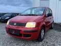 Fiat Panda 1,1 ECO City *Pickerl 06/26+4Mo* Rot - thumbnail 13