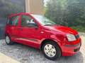 Fiat Panda 1,1 ECO City *Pickerl 06/27+4Mo*Klima*Erstbesitz* Rot - thumbnail 4