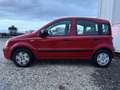 Fiat Panda 1,1 ECO City *Pickerl 06/26+4Mo* Rot - thumbnail 11
