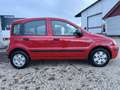 Fiat Panda 1,1 ECO City *Pickerl 06/26+4Mo* Rot - thumbnail 5