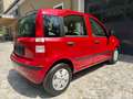 Fiat Panda 1,1 ECO City *Pickerl 06/27+4Mo*Klima*Erstbesitz* Rot - thumbnail 6