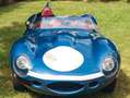 Jaguar D-Type “Wingfield” aluminium Blau - thumbnail 17