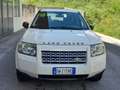 Land Rover Freelander Freelander II 20072.2 td4 XS Blanc - thumbnail 1