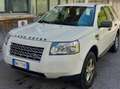 Land Rover Freelander Freelander II 20072.2 td4 XS Blanc - thumbnail 3
