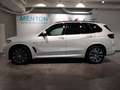 BMW X5 xDrive40d M Sportpaket/Head-Up/RFK/Laserlicht Weiß - thumbnail 2